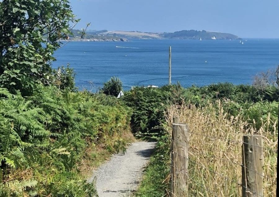 The coastal footpath, with wildflowers in the foreground and the cliffs beyond